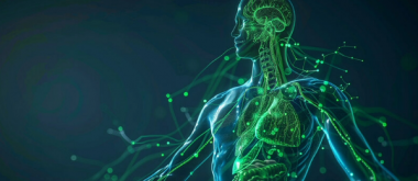 as Immunsystem wiederherstellen