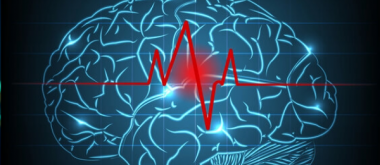 A Stroke Triggers a Hidden Change in the Brain that Resembles Rejuvenation