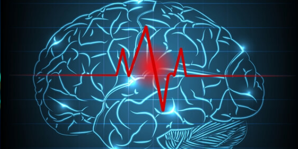 A Stroke Triggers a Hidden Change in the Brain that Resembles Rejuvenation